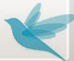 Follow EF on Twitter!